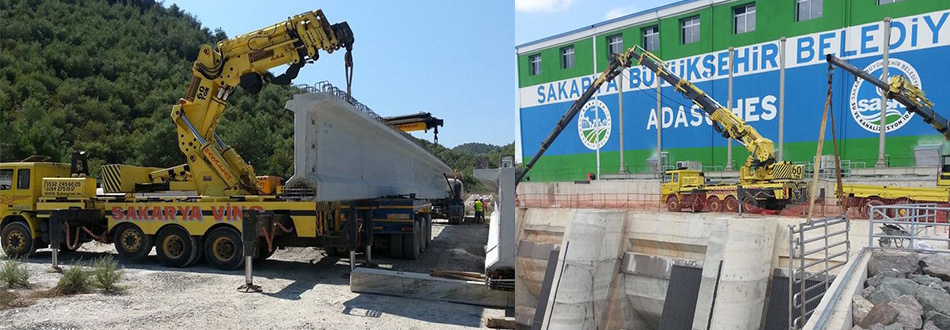 Sakarya Vinç